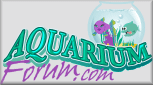 Aquarium Forum.com
