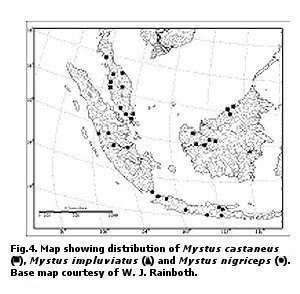 Map showing distribution of Mystus castaneus