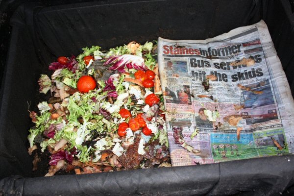 Vegetable peelings and damp newspaper