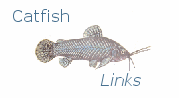 Catfish Links