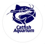 Catfish Aquarium