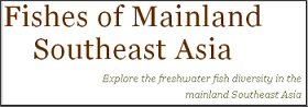 Fishes of Mainland South East Asia
