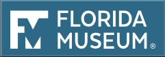 Florida Museum