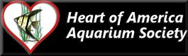 Heart of America Aquarist Society