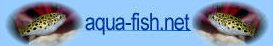Aqua-Fish.net