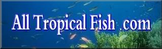 All Tropical Fish - Saltwater Fish, Corals and Freshwater Fish