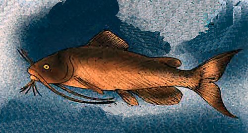  Hoffstetterichthys pucai