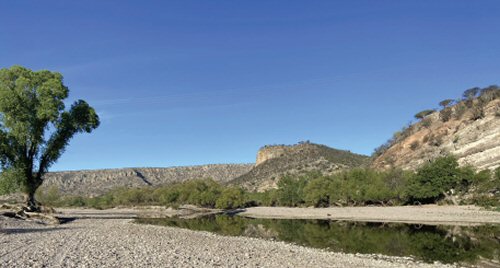 Ictalurus nazas = Type locality-Ramos River, 1.12 km north of El Olote, Santiago Papasquiaro, Durango, Mexico, endorheic drainage, Ramos River; 25°14'13.2"N, -105°27'0.4"W 