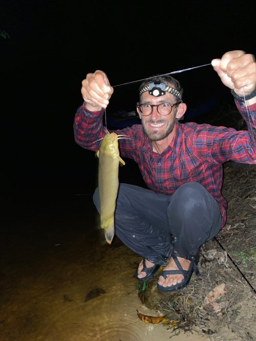 Malapterurus oguensis = Ogooué, Ogooué-Ivindo, Gabon