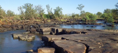 Neosilurus manjandi = Sandstone habitat at type locality on Nyaliga Country, small waterfall upstream of Jacks Waterhole, Durack River, Pentecost River catchment, Australia 