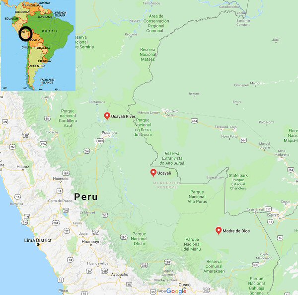 Upper Ucayali River basin and the Madre De Dios region Peru.