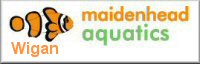 Maidenhead Aquatics - Wigan