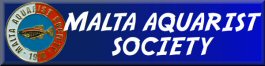 Malta Aquarist Society