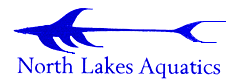 North Lakes Aquatics