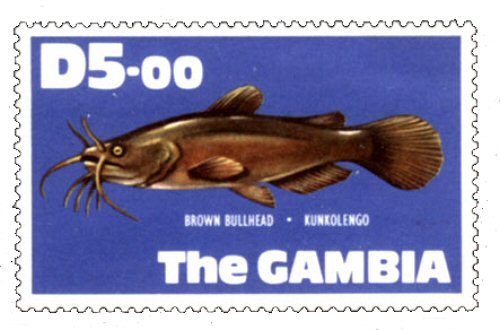 Catfish Stamp = Ameiurus nebulosus