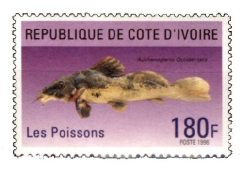 Catfish Stamp = Auchenoglanis occidentalis 