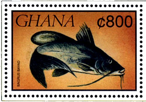 Bagrus bajad = Catfish Stamp