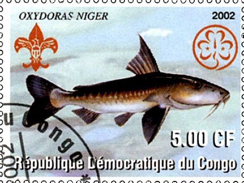 Catfish Stamp = Oxydoras niger
