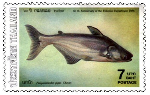 Catfish Stamp = Pangasianodon gigas 