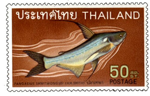 Catfish Stamp = Pangasius sanitwongsei 