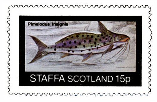 Catfish Stamp = Calophysus macropterus