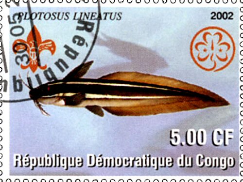 Catfish Stamp = Plotosus lineatus 