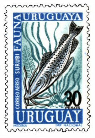 Catfish Stamp = Pseudoplatystoma corruscans