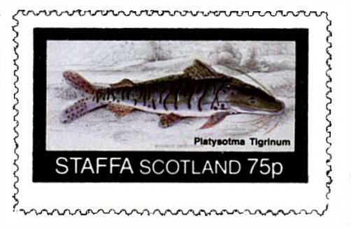 Catfish Stamp = Pseudoplatystoma tigrinum 