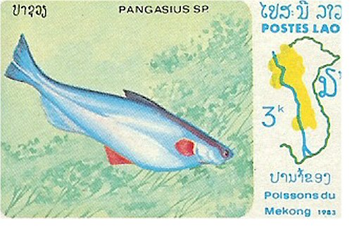 Catfish Stamp = Pseudolais pleurotaenia