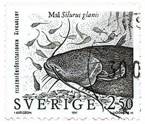 Catfish Stamp = Silurus glanis