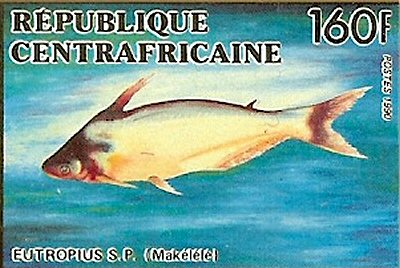 Catfish Stamp = Schilbe intermedius