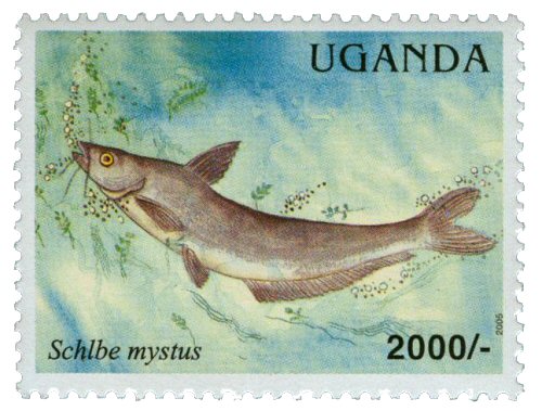 Schilbe mystus  = catfish stamp