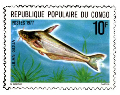 Catfish Stamp = Schilbe intermedius 