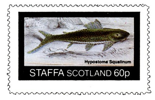Aphanotorulus emarginatus = catfish stamp