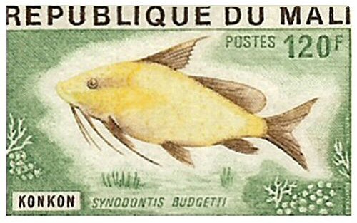 Catfish Stamp = Synodontis budgetti