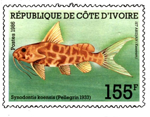 Catfish Stamp = Synodontis koensis