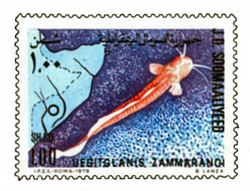 Catfish Stamp = Uegitglanis zammaranoi 