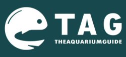 The Aquarium Guide
