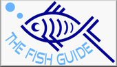 The Fish Guide