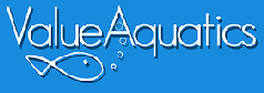 ValueAquatics