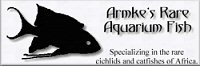 Armke's Rare Aquarium Fish