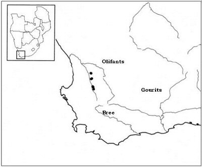 Olifants system, Western Cape