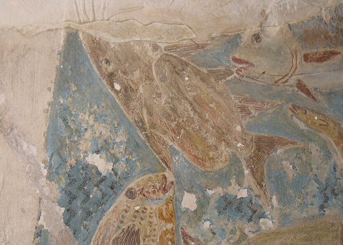 Synodontis batensoda = Taken in the Louvre Museum in Paris, hieroglyphics from a Pharaohs tomb.