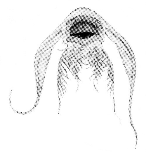 Synodontis serratus - mouth view