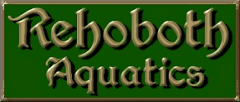 Rehoboth Aquatics