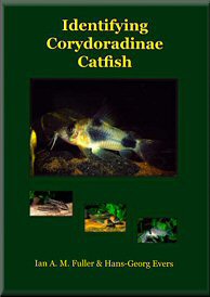 Identifying Corydoradinae Catfish