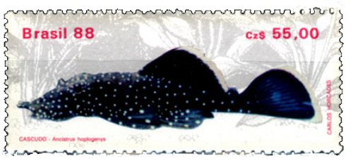 Catfish Stamp = Ancistrus dolichopterus