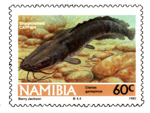 Catfish Stamp = Clarias gariepinus 
