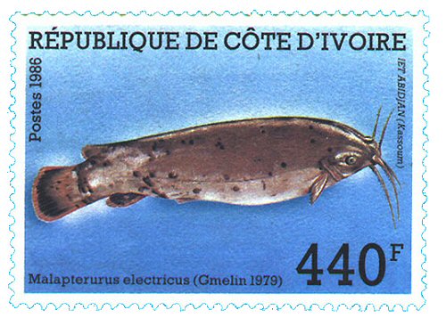 Catfish Stamp = Malapterurus electricus 