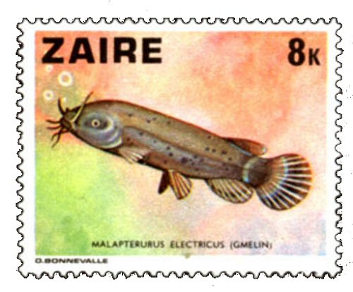 Catfish Stamp = Malapterurus electricus